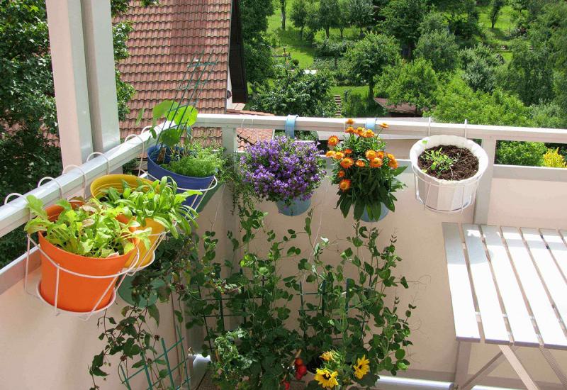 Mostar: Želite naučiti uzgajati biljake na krovu zgrade, balkonu i terasi?