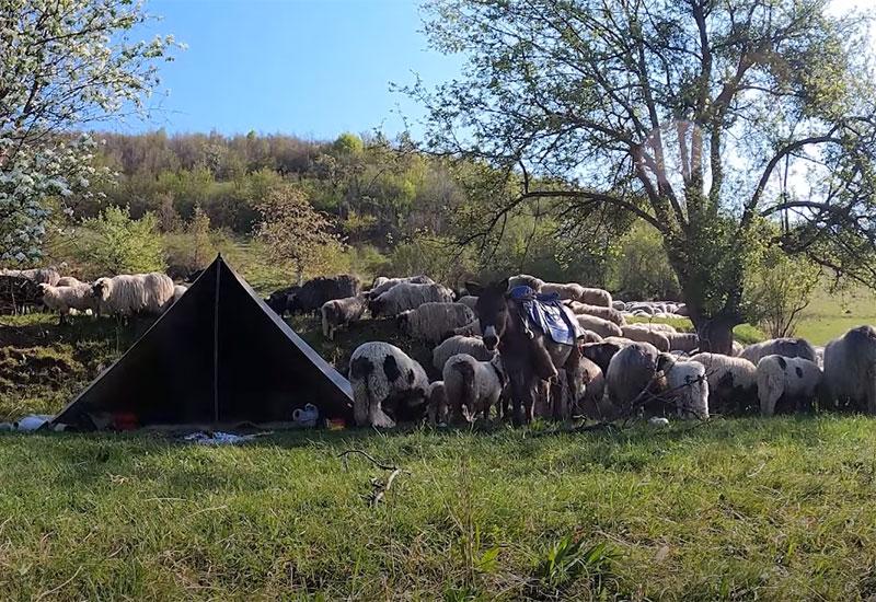 Priča nomada u BiH: Svaki je pos'o težak ako ga nećeš radit'