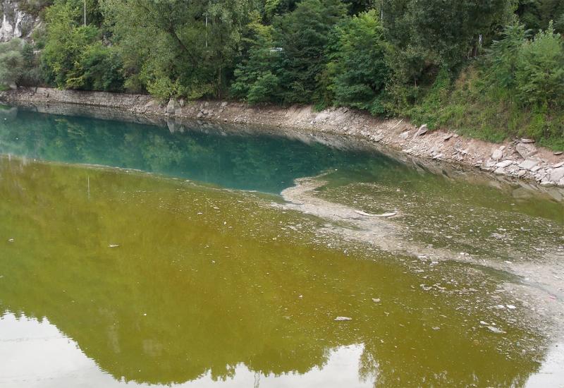 Alge u Jablaničkom jezeru: Agenciji ništa sporno, aktivisti upozoravaju na zagađenje