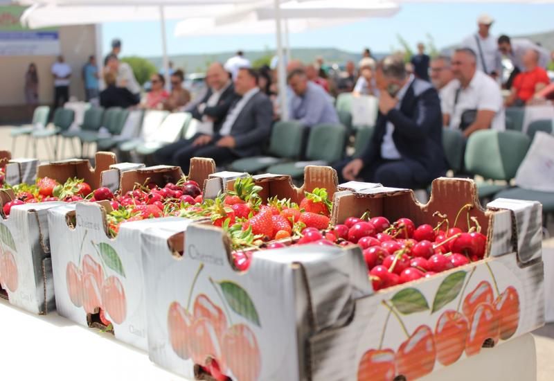 Dan mediteranskog voća - Potencijal hercegovačke trešnje neupitan