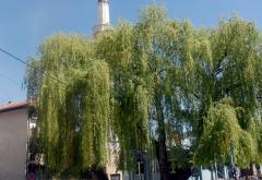 Pljevlja: Vijali popovi žito na bogatim manastirskim imanjima i...  