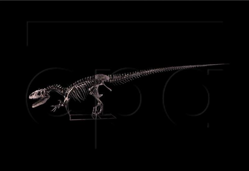 Kostur dinosaura mogao bi postići cijenu od 8 milijuna dolara