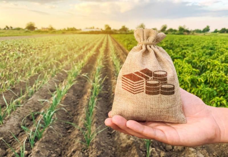 Revizija učinkovitosti poticaja u poljoprivredi: Ne postižu se rezultati, nije harmonizirano, poljoprivreda stagnira