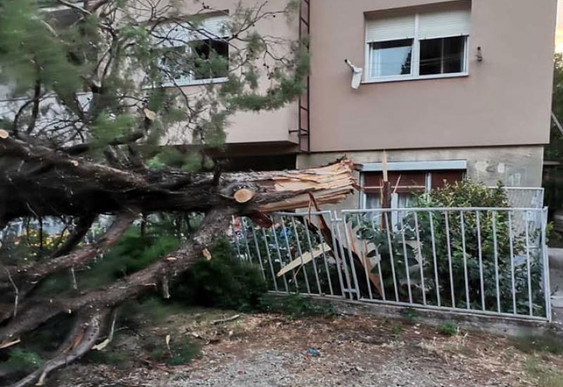 Vjetar rušio drveće po Mostaru - Vjetar rušio drveće po Mostaru