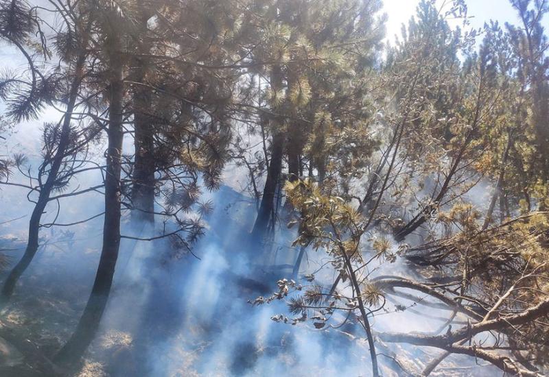 Na Blidinju do sada izgorjelo gotovo 100 hektara površine