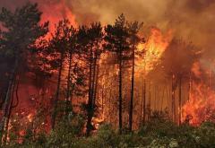 Pogledajte dramatične slike požara u Sloveniji