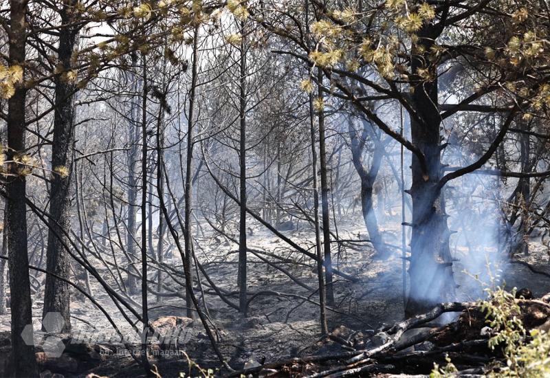 Požar velikih razmjera na planini Čvrsnici u Parku prirode Blidinje - Gori Park prirode u zemlji, a država šuti