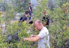 Požar kod Neuma još nije pod kontrolom: Gori na više lokacija