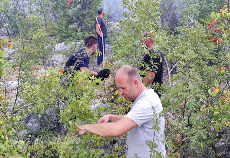 Požar kod Neuma još nije pod kontrolom: Gori na više lokacija