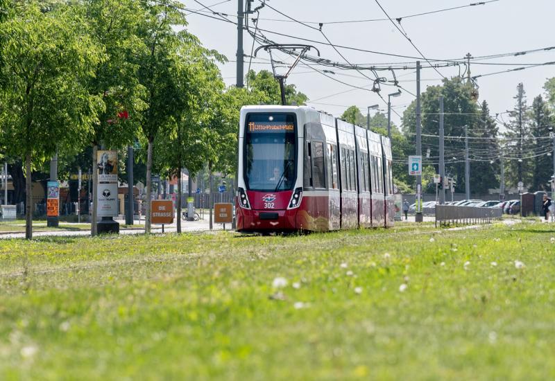 Ozelenjavanje tramvajske mreže u Beču