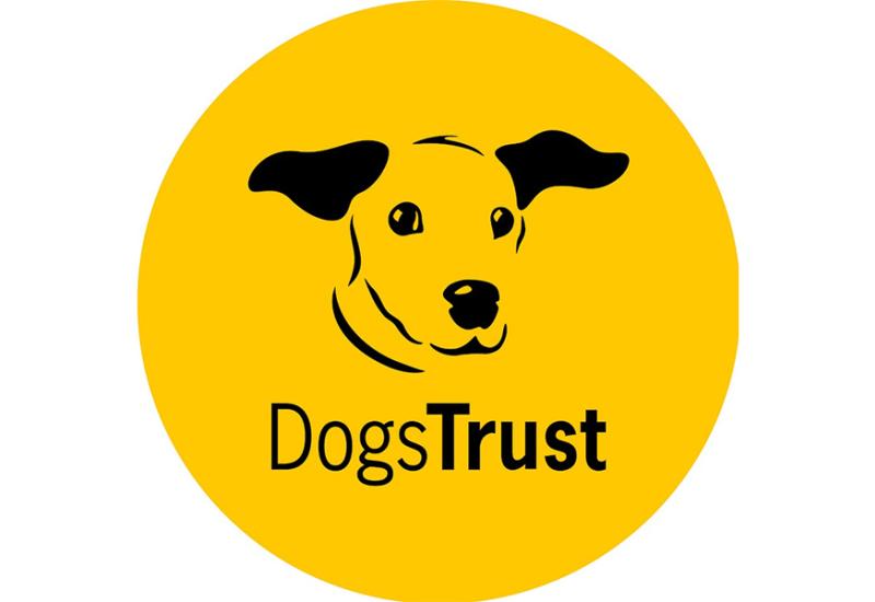 Dogs Trust: 10 godina u BiH, i nastavljamo zajedno