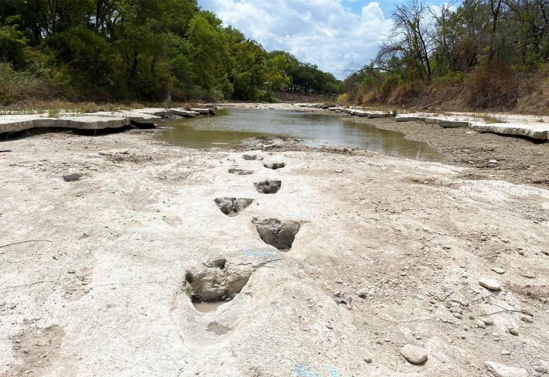 Korito rijeke krije tragove dinosaura stare 113 milijuna godina 