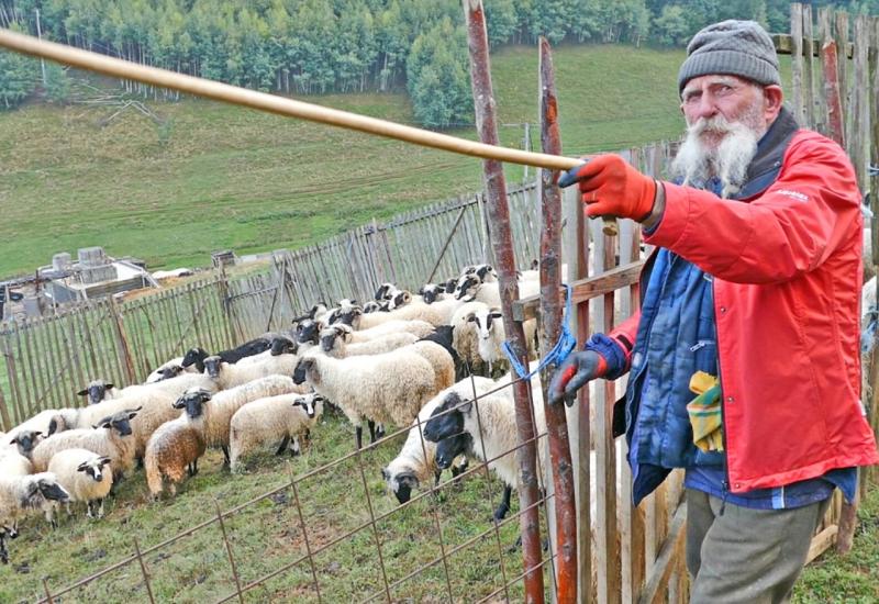 Najstariji pastir u BiH: U 89 godini gradi vikendicu 