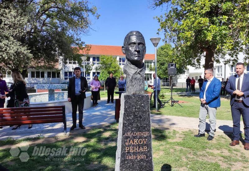 Otkrivena bista akademika Jakova Pehara - Čapljina: Otkrivena bista akademika Jakova Pehara