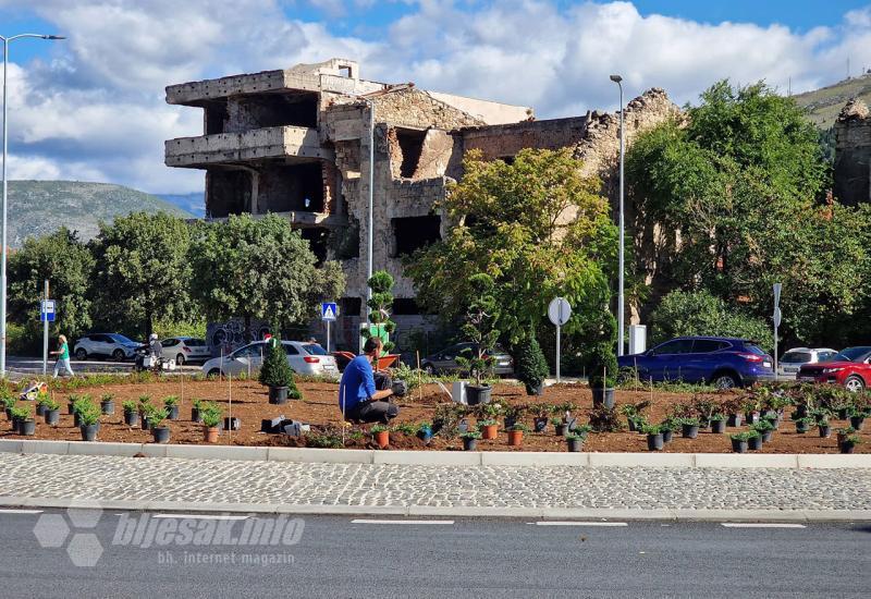 Grad Mostar posadio cvijeće prije nego što ga je kupio?