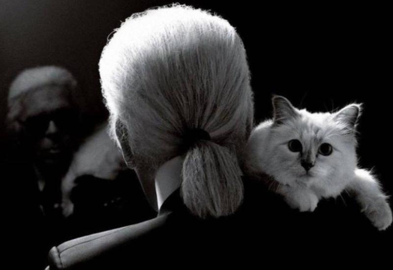 Modno carstvo Karla Lagerfelda: Evo zašto je uvijek nosio rukavice te sve ostavio mački 