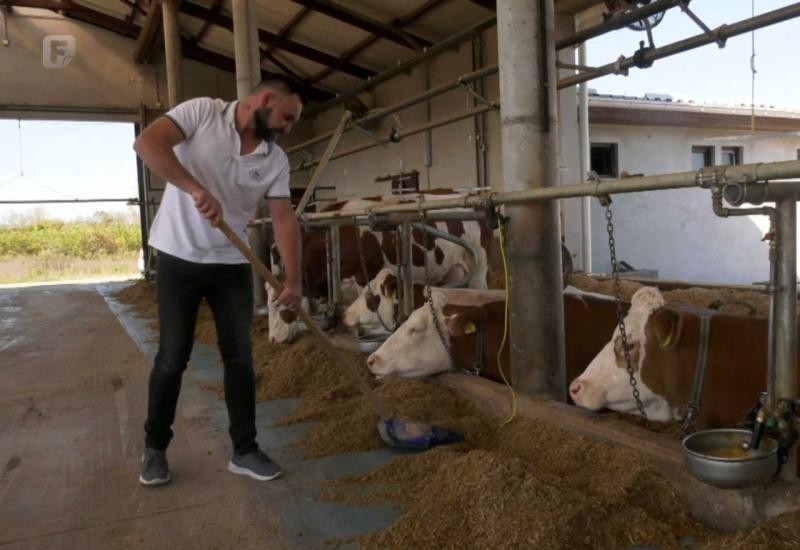 Mato se vratio iz Austrije i otvorio farmu krava: "Vidim više mogućnosti" 
