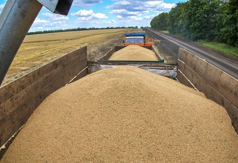 Iz Ukrajine izvezeno više od 15 milijuna tona žitarica
