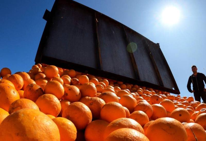 Više od 25 tona naranči vraćeno s bh. granice