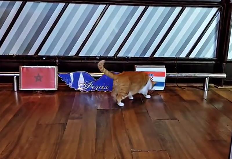 Mačak Garfield izabrao Hrvatsku - VIDEO | Mostar: Mačak Garfield izabrao Hrvatsku