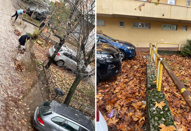 Akcija čišćenja lišća - Malobrojni stanari čistili lišće ispred zgrada; ostali smatraju da to nije njihov posao