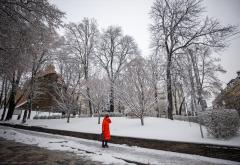 Pao snijeg: Nepovoljni zimski uvjeti otežavaju život stanovnika Kijeva