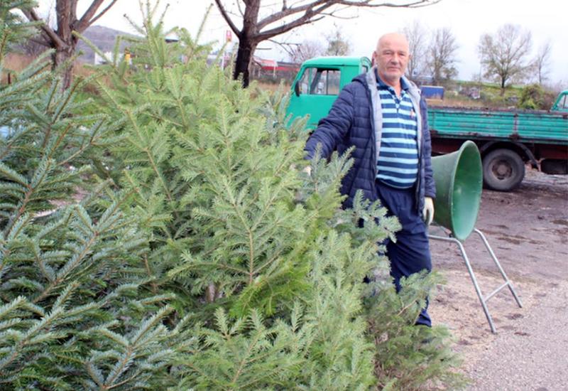Prodaja božićnih drvca u Čapljini - Prodaja božićnih drvca slabija, ali trgovci su ipak zadovoljni