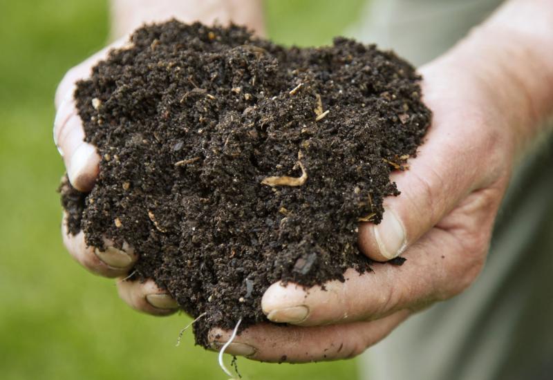 Kako kompostirati: Vodič za početnike