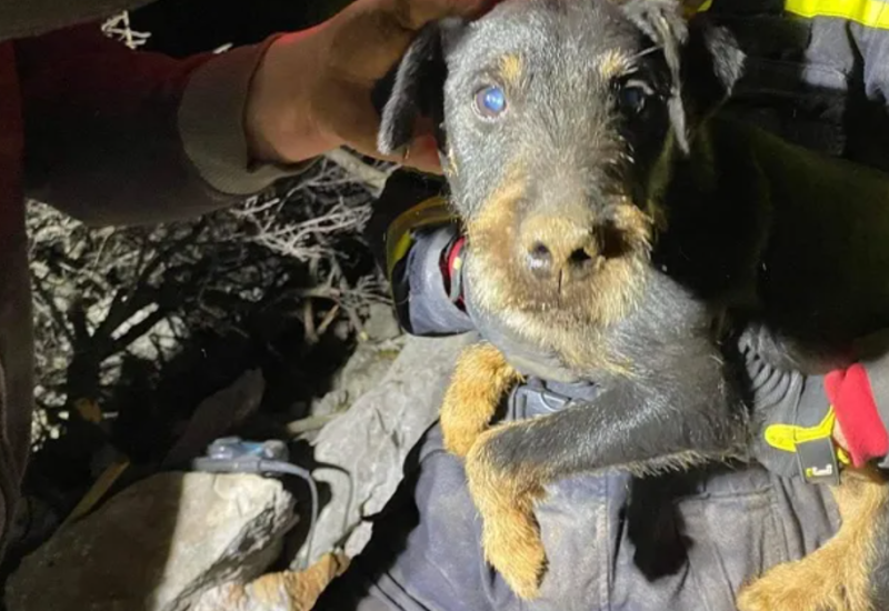 Vatrogasci devet sati spašavali psa zaglavljenog u stijeni