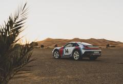 Povijesne ukrasne folije za 911 Dakar