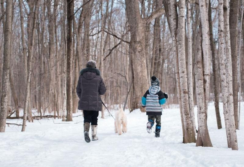 Sedam razloga zbog kojih se itekako isplati krenuti u zimsku šetnju