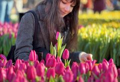 Obilježen Nacionalni dan tulipana, tisuće ljudi besplatno dobilo cvijeće