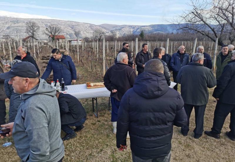 Na Buni proslavljen blagdan sv. Vinka - Vincekovo: Na Buni proslavljen blagdan sv. Vinka, zaštitnika vinogradara