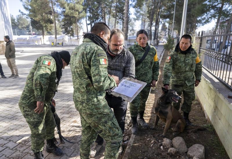 Meksički tim se oprostio od Protea, - Turska: Tijekom akcija spašavanja uginuo pas tragač