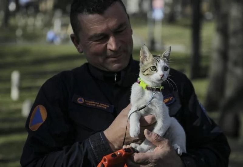Maca koja je dovedena iz Tuske nakon potresa, dobila bh. državljanstvo