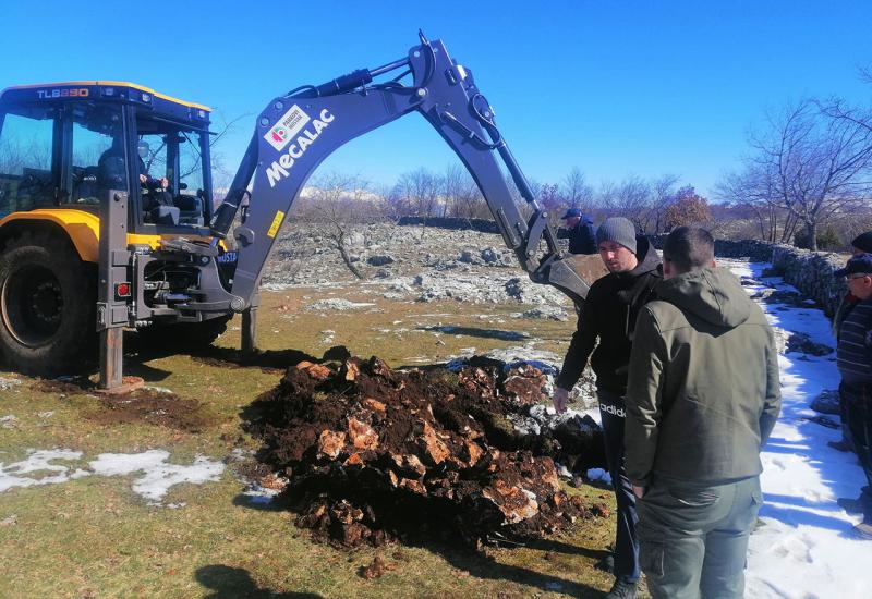 Šest stabala posađeno uz pomoć Parkova Mostar - Bura na Bilima srušila jedno od najstarijih stabala hrasta: Danas zasađena nova stabla