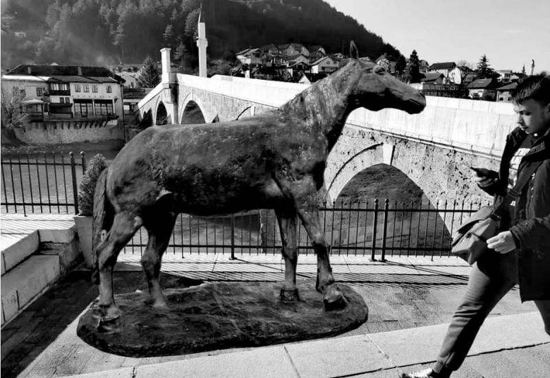  - Konjic bi mogao dobii kip konja