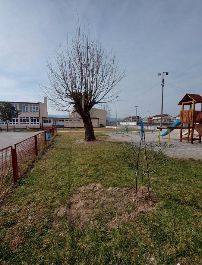 Uređivanje školskog dvorišta u Čapljini - Čapljinci uređivali školsko dvorište