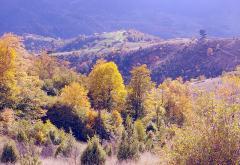 Zlatibor: Izuj brige, uspori i uživaj!