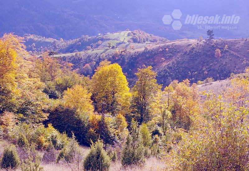 Zlatibor: Izuj brige, uspori i uživaj!