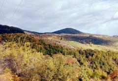 Zlatibor: Izuj brige, uspori i uživaj!