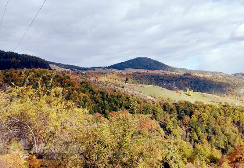 Zlatibor: Izuj brige, uspori i uživaj!