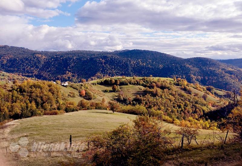 Zlatibor: Izuj brige, uspori i uživaj!