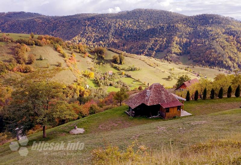 Zlatibor: Izuj brige, uspori i uživaj!