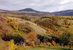 Zlatibor: Izuj brige, uspori i uživaj!