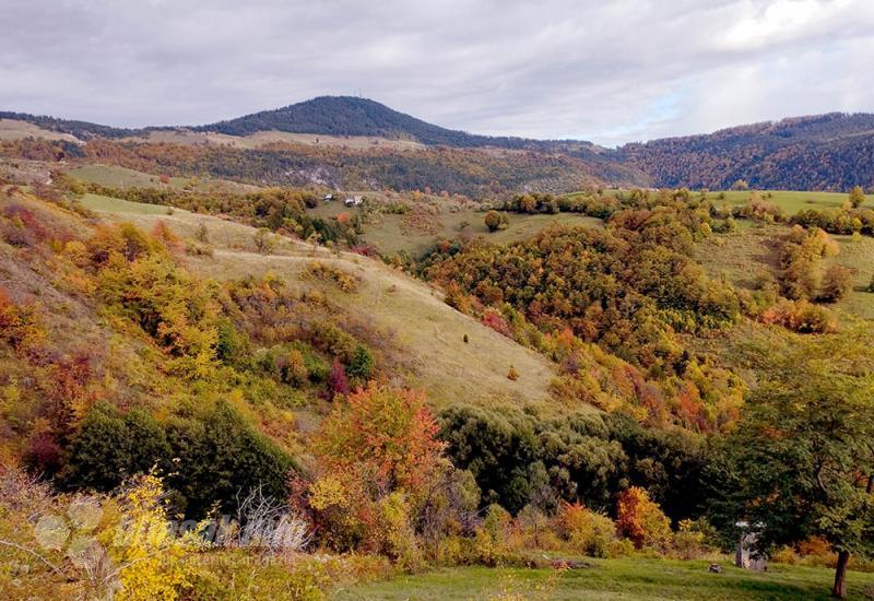 Zlatibor: Izuj brige, uspori i uživaj!