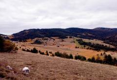 Zlatibor: Izuj brige, uspori i uživaj!