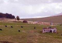 Zlatibor: Izuj brige, uspori i uživaj!