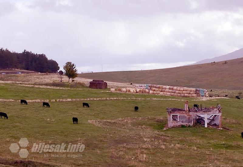 Zlatibor: Izuj brige, uspori i uživaj!