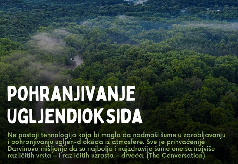 Šume smanjuju zagađenje zraka, pročišćavaju i čuvaju zalihe vod - Pokažimo veću odgovornost i zaštitimo pluća BiH!